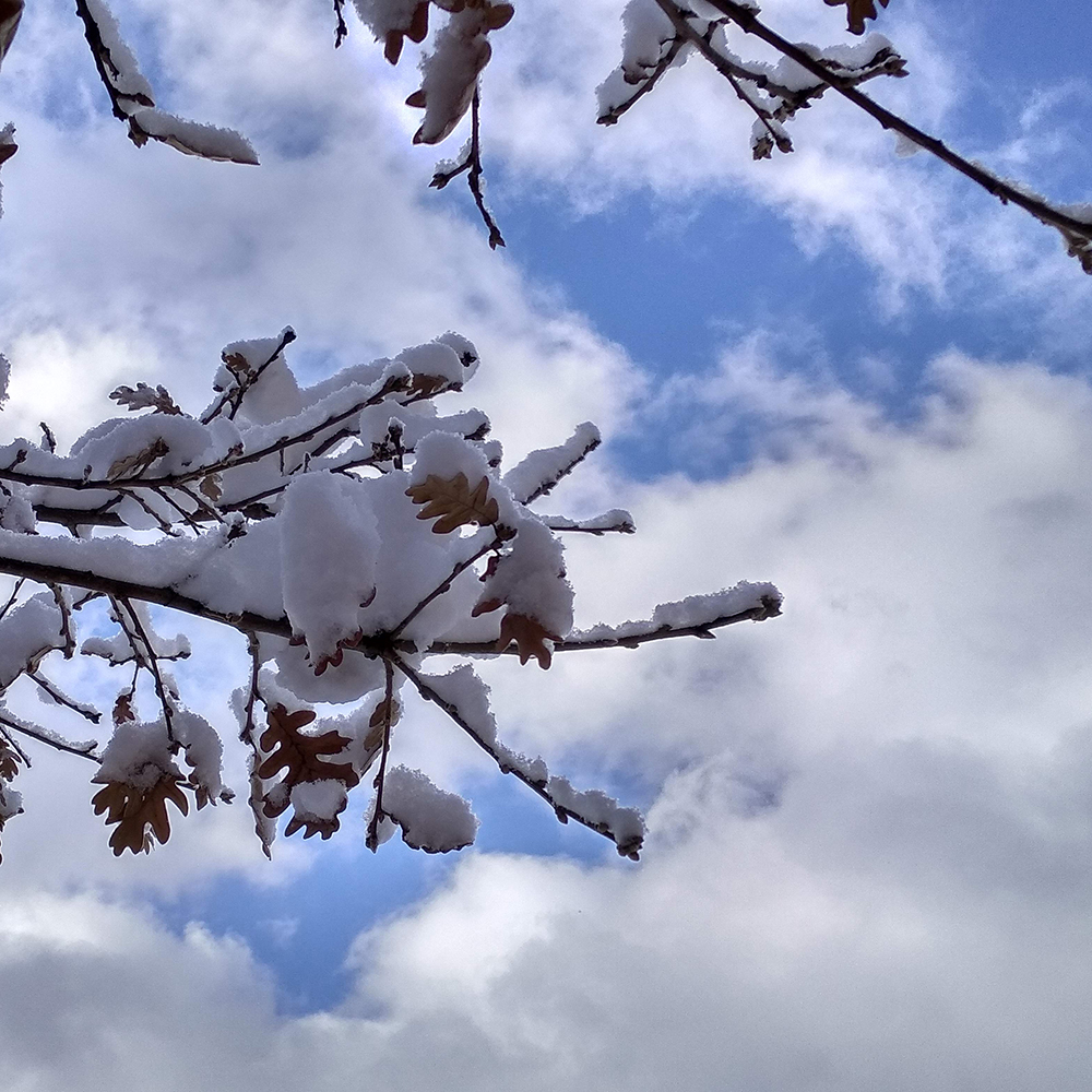 Inspiración 7 - Diseño minimalista